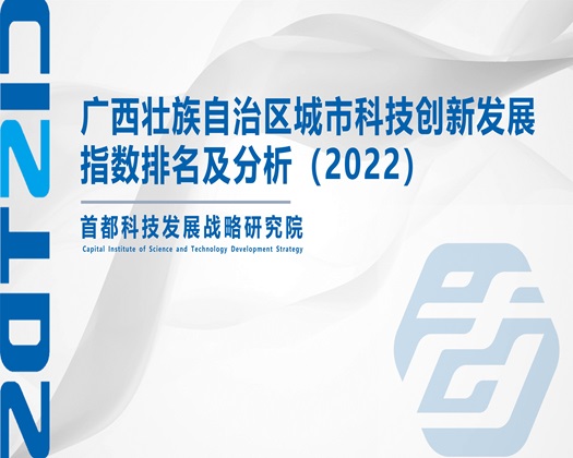 欧美老阿姨性色日B【成果发布】广西壮族自治区城市科技创新发展指数排名及分析（2022）